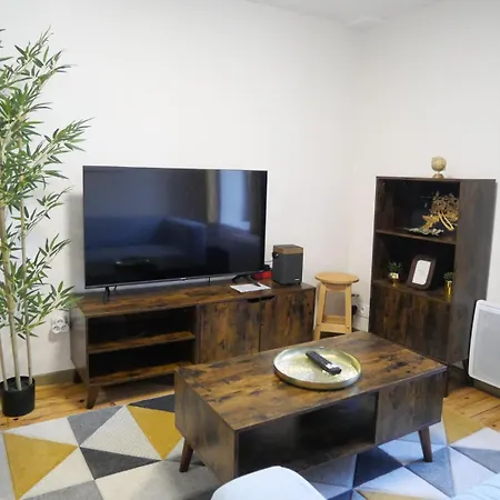 Le Mandrill - Et Colore Appartement Clermont-Ferrand